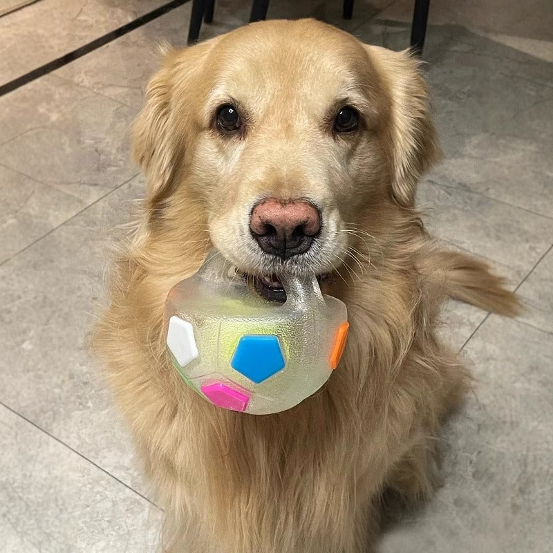 Waterproof Bouncing Sounding Soccer Ball TPR Rubber Dog Toy