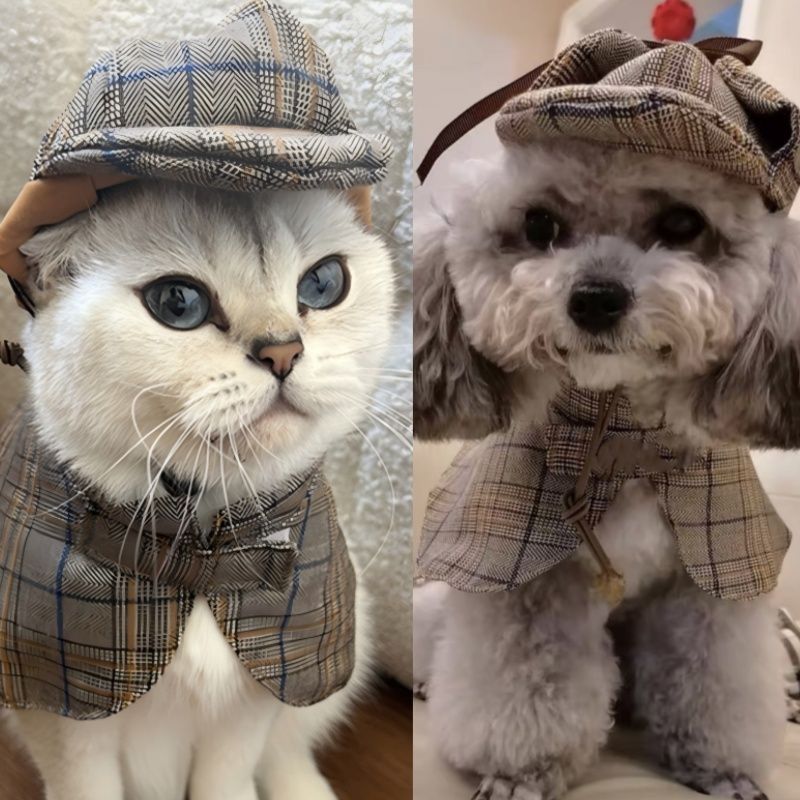 Detective Cape With Hat Pet Costume