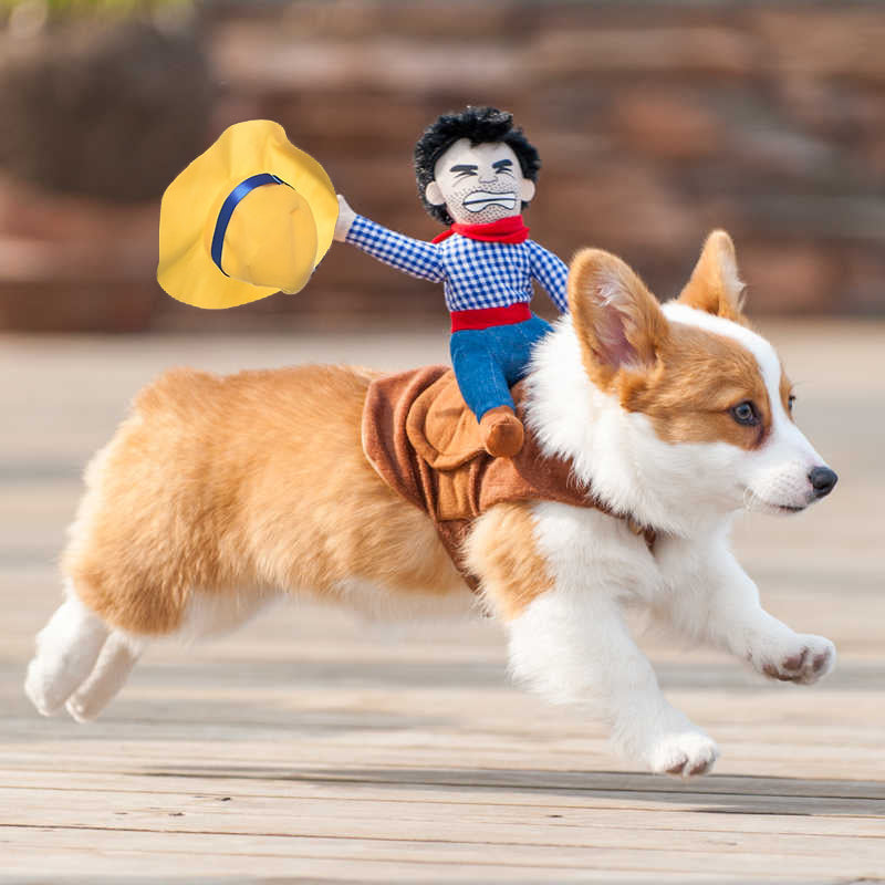 Funny Cowboy Rider Pet Costume
