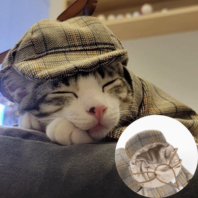 Detective Cape With Hat Pet Costume