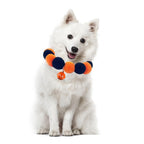 Halloween Pumpkin Pet Collar Collar Charms