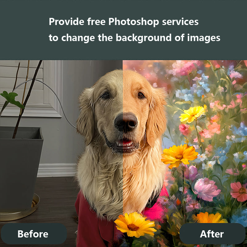 Custom Pet Paint by Numbers Kit from Your Photo - Personal DIY Dog Cat Portrait for Beginners, Unique Gift Idea