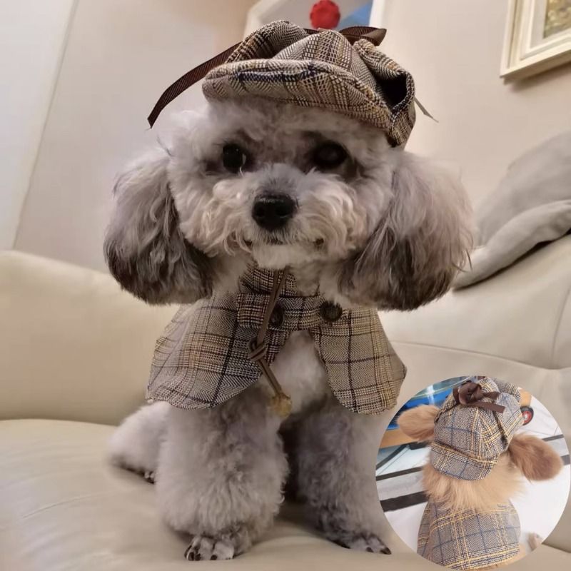 Detective Cape With Hat Pet Costume