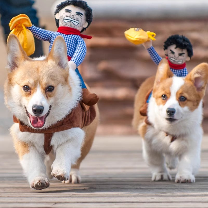 Funny Cowboy Rider Pet Costume