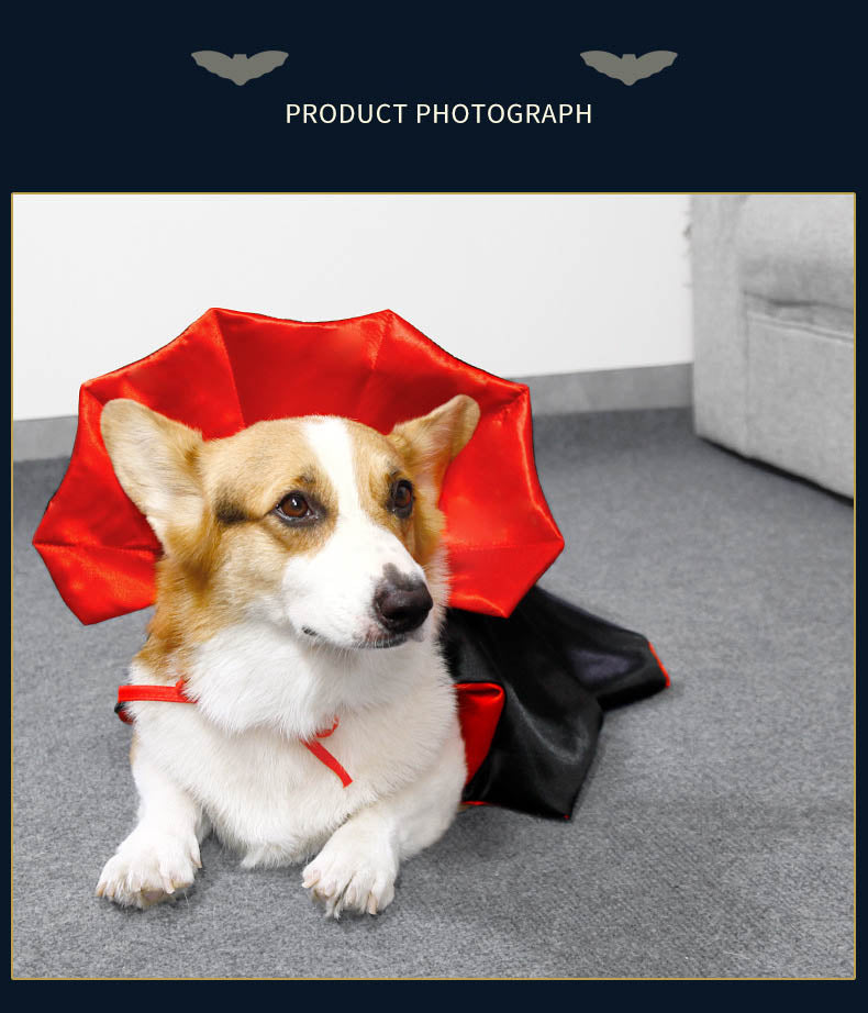 Pet Halloween Costume Vampire King Cape