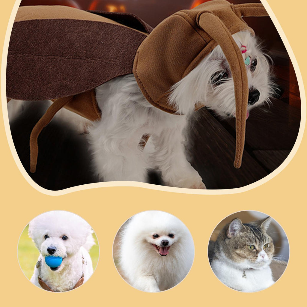 Pet Costumes Cockroach Clothing