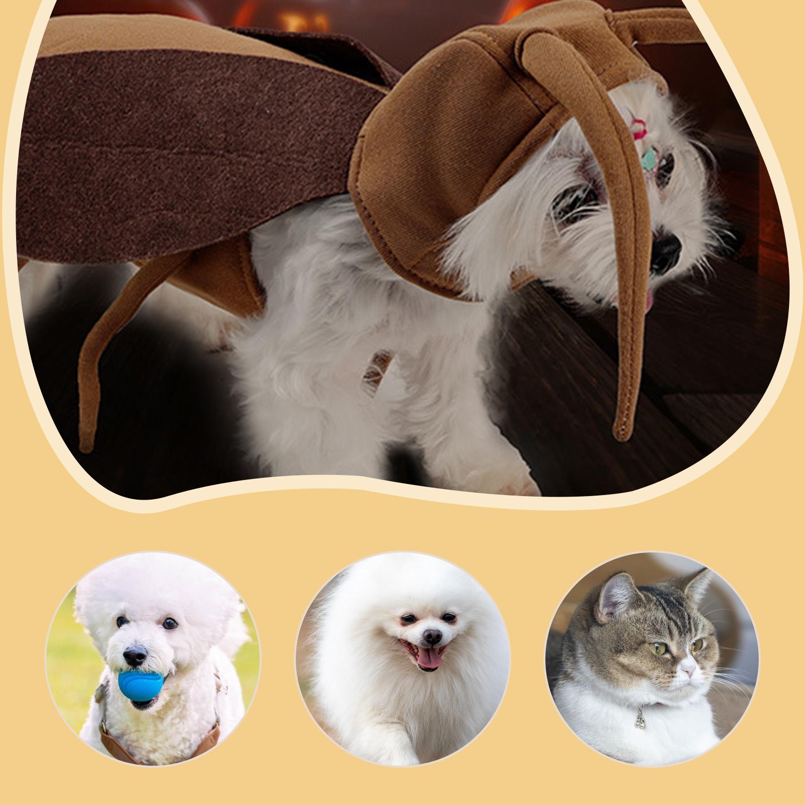 Pet Costumes Cockroach Clothing