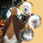 Pet Costumes Cockroach Clothing