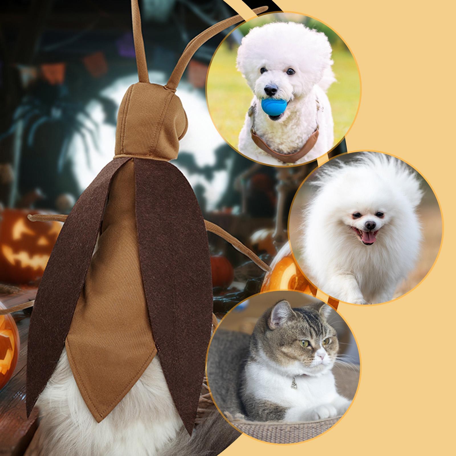 Pet Costumes Cockroach Clothing