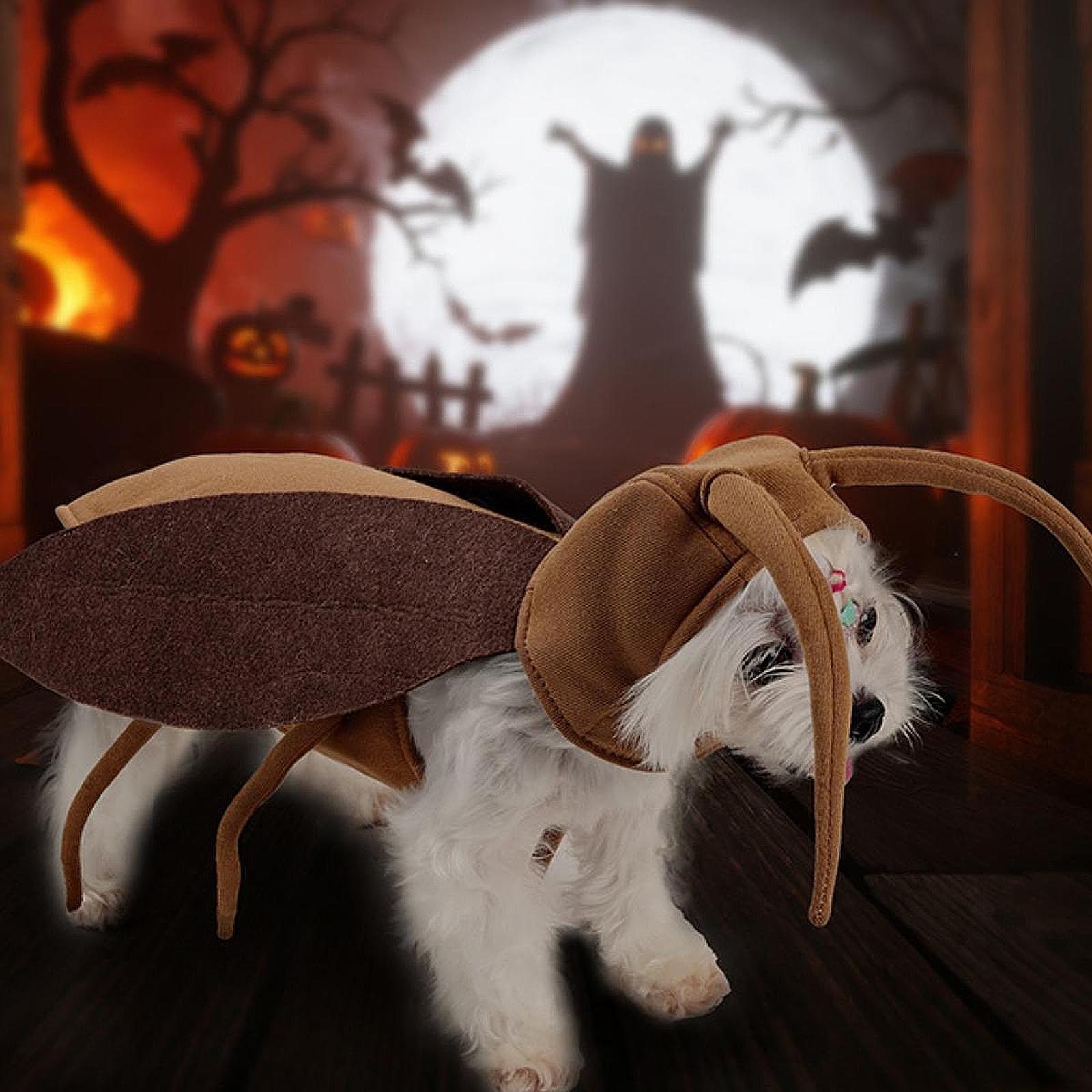 Pet Costumes Cockroach Clothing