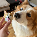 Custom Pet Statues - 3D pet memorial gift