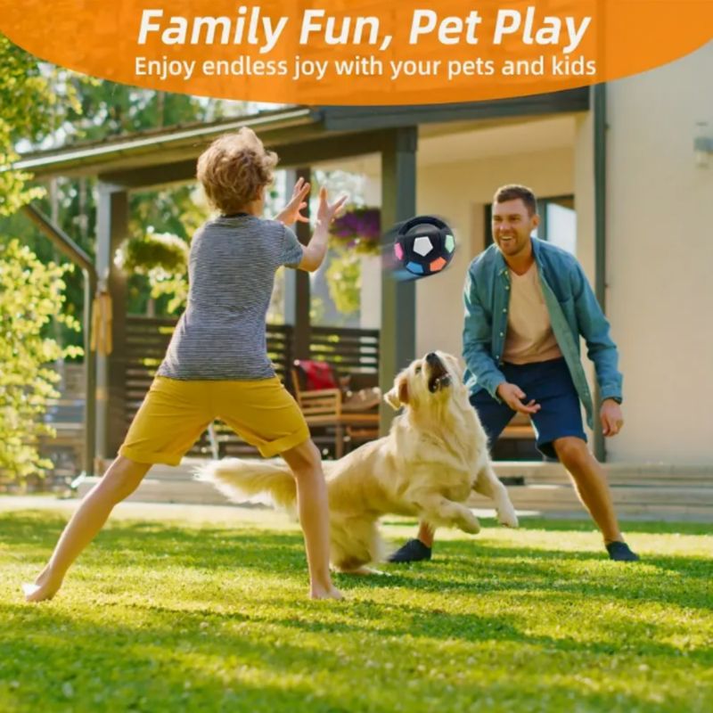 Waterproof Bouncing Sounding Soccer Ball TPR Rubber Dog Toy