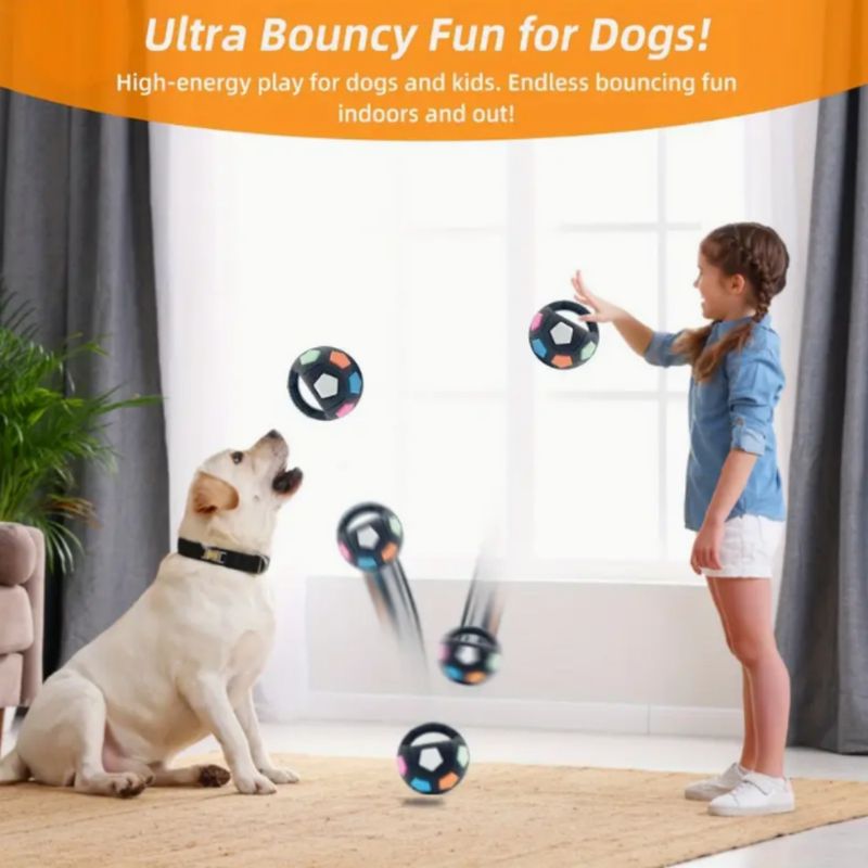 Waterproof Bouncing Sounding Soccer Ball TPR Rubber Dog Toy