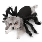 Spider Dog Costume Funny Halloween Tarantula Cat Costume