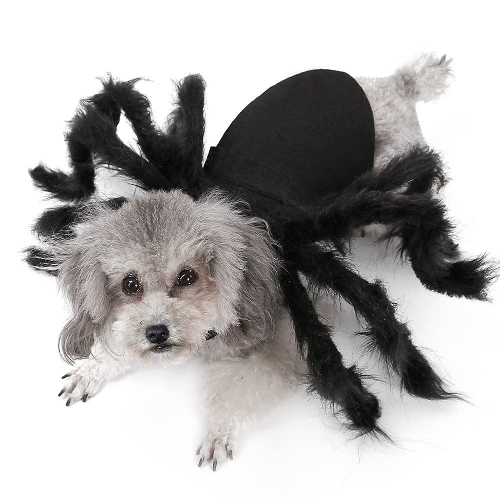Spider Dog Costume Funny Halloween Tarantula Cat Costume