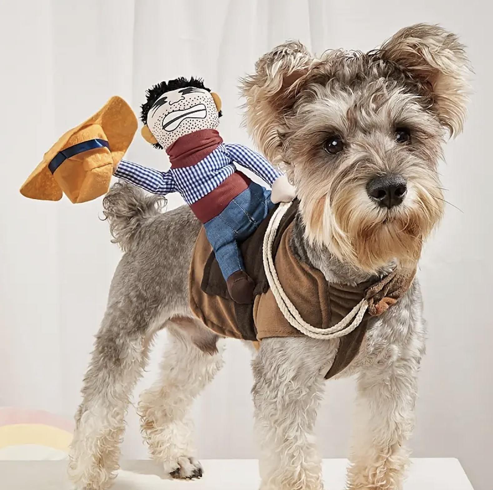 Funny Cowboy Rider Pet Costume