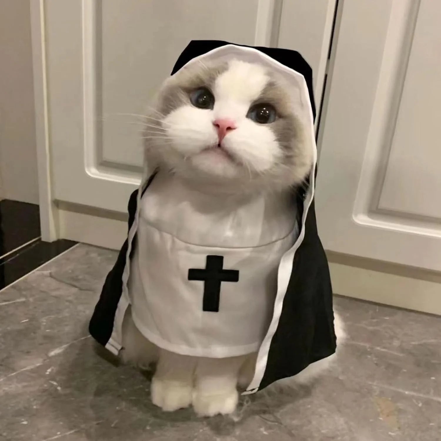 Black White Cloak Nun Costume for Halloween Pet Outfit