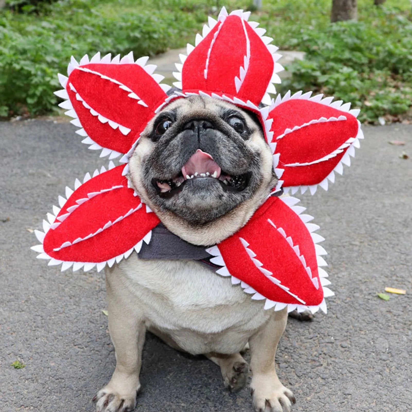 Cannibal Plant Hat – Adorable Halloween Pet Hat