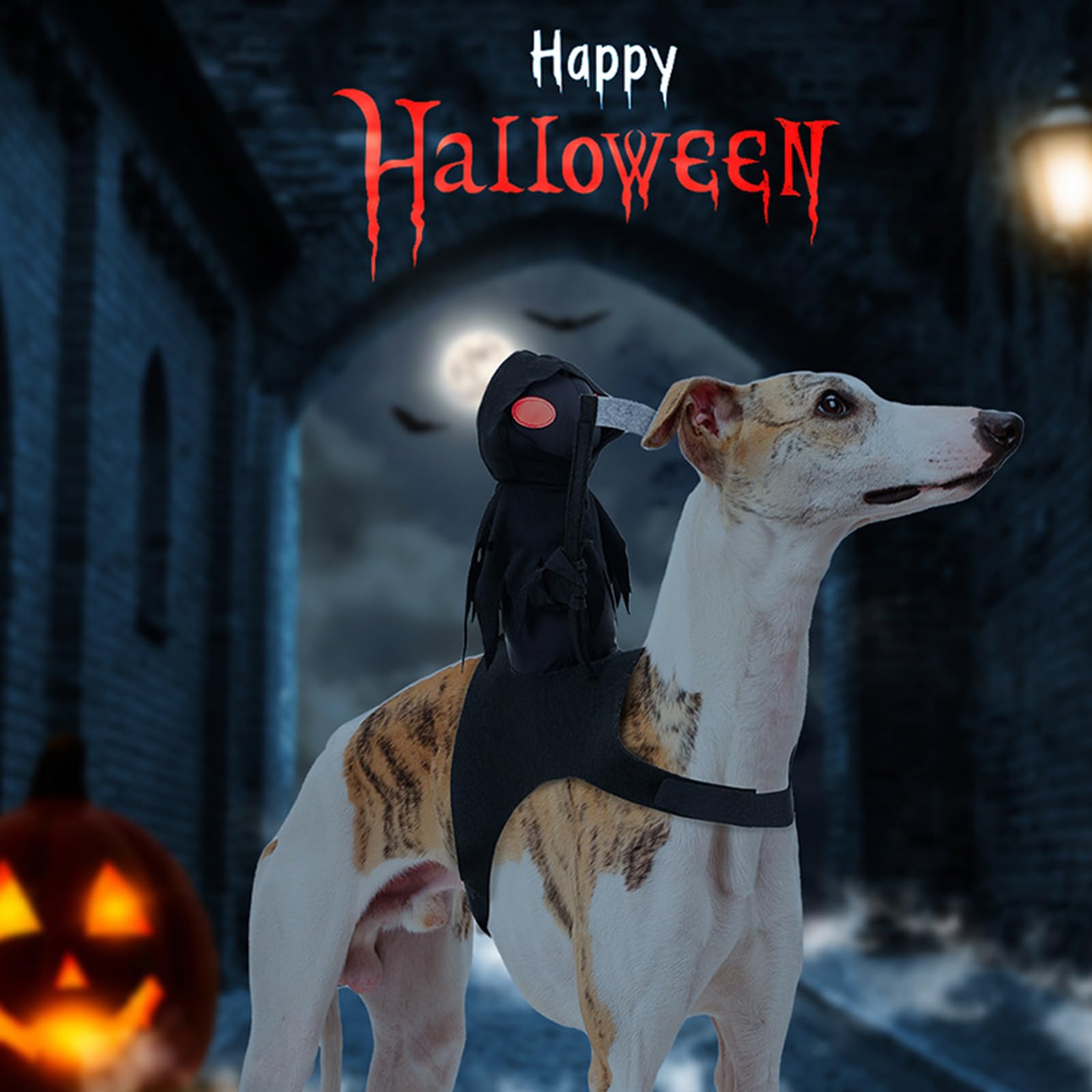 Halloween Dark Knight Outfit Dogs & Cats Ghost Costumes