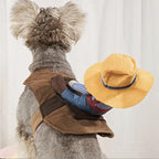 Funny Cowboy Rider Pet Costume