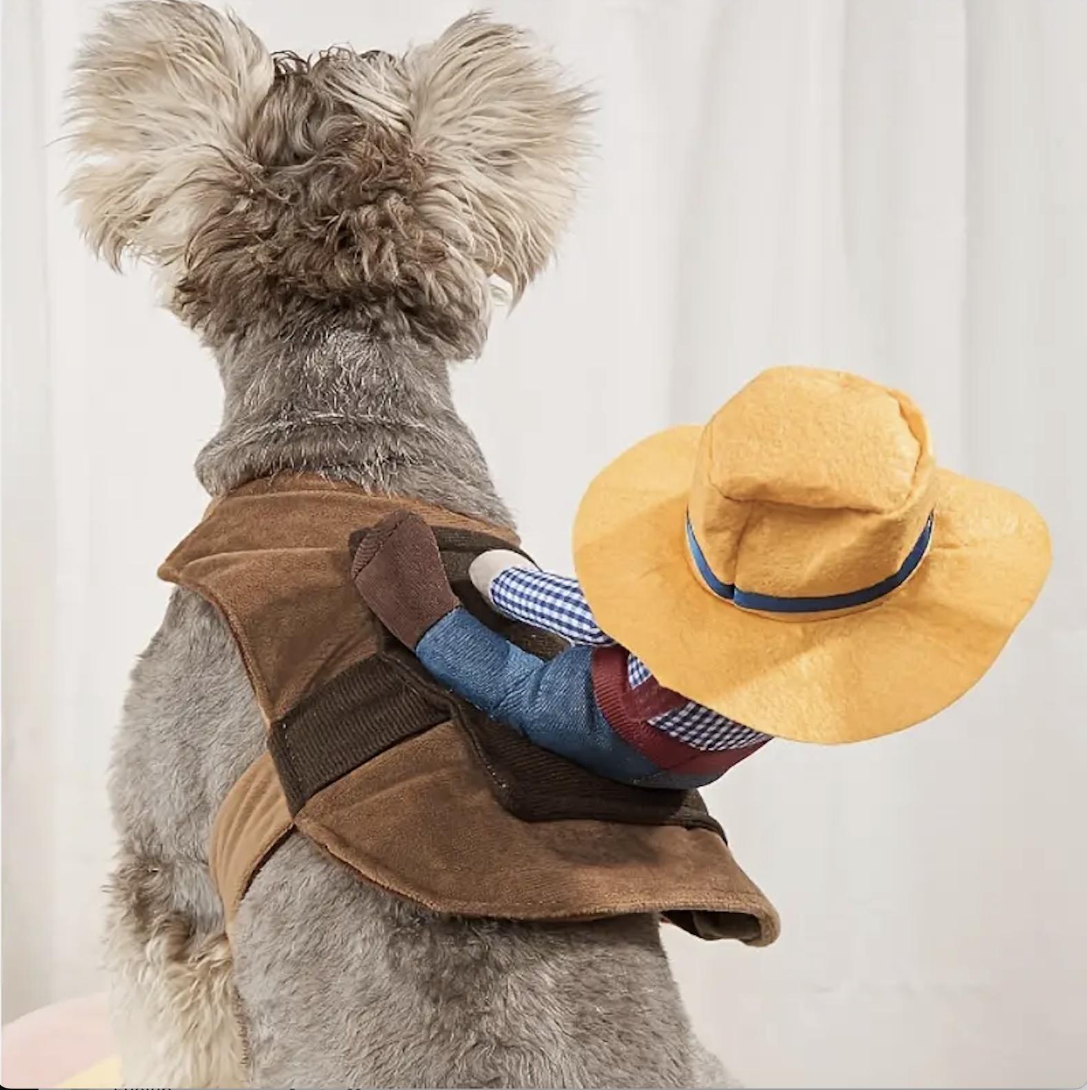 Funny Cowboy Rider Pet Costume