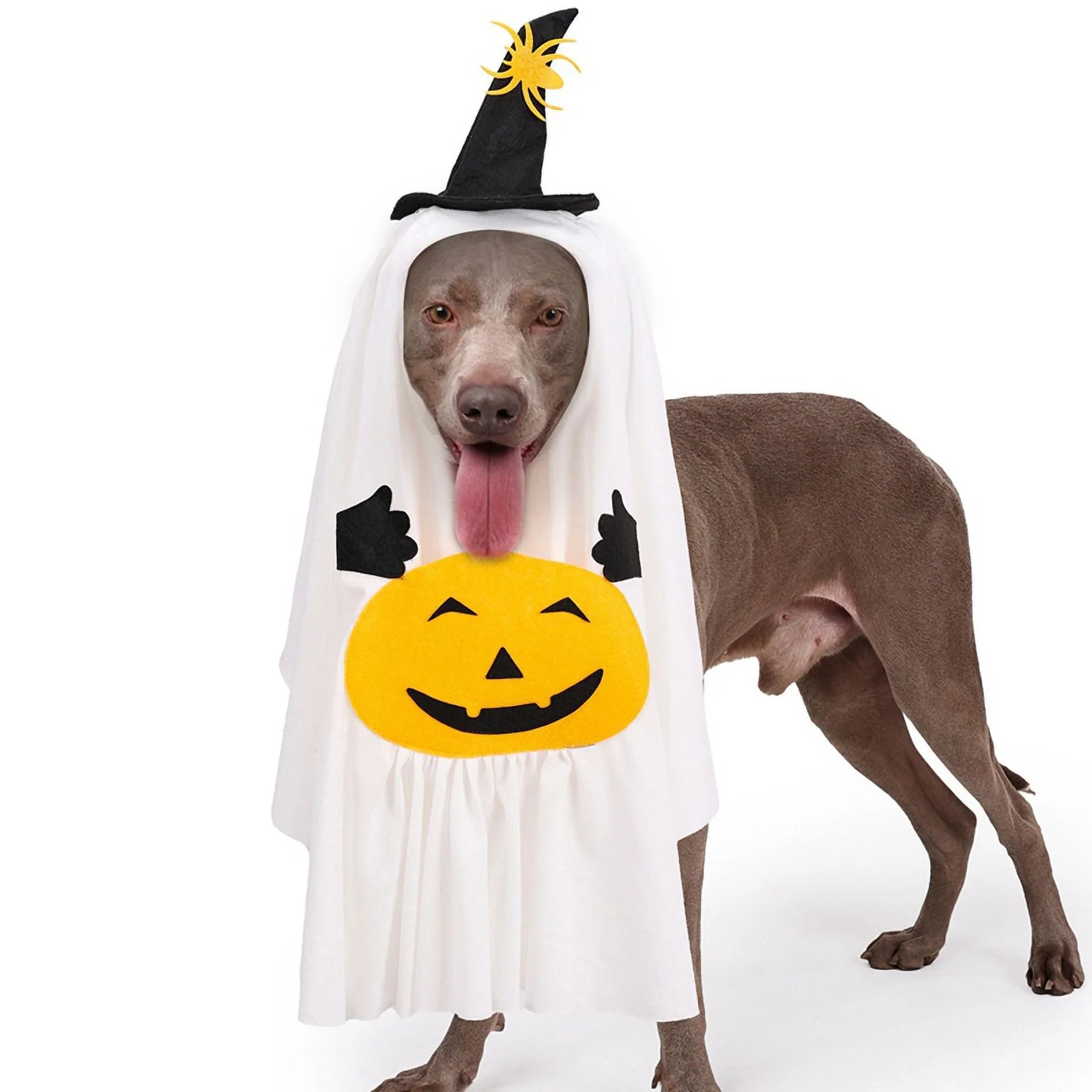 Pumpkin Ghost Witch Hat Suit Pet Clothing Party Dress Cosplay Costume