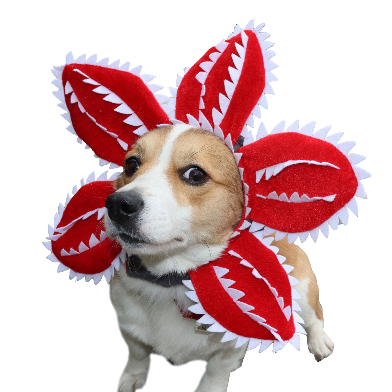 Cannibal Plant Hat – Adorable Halloween Pet Hat