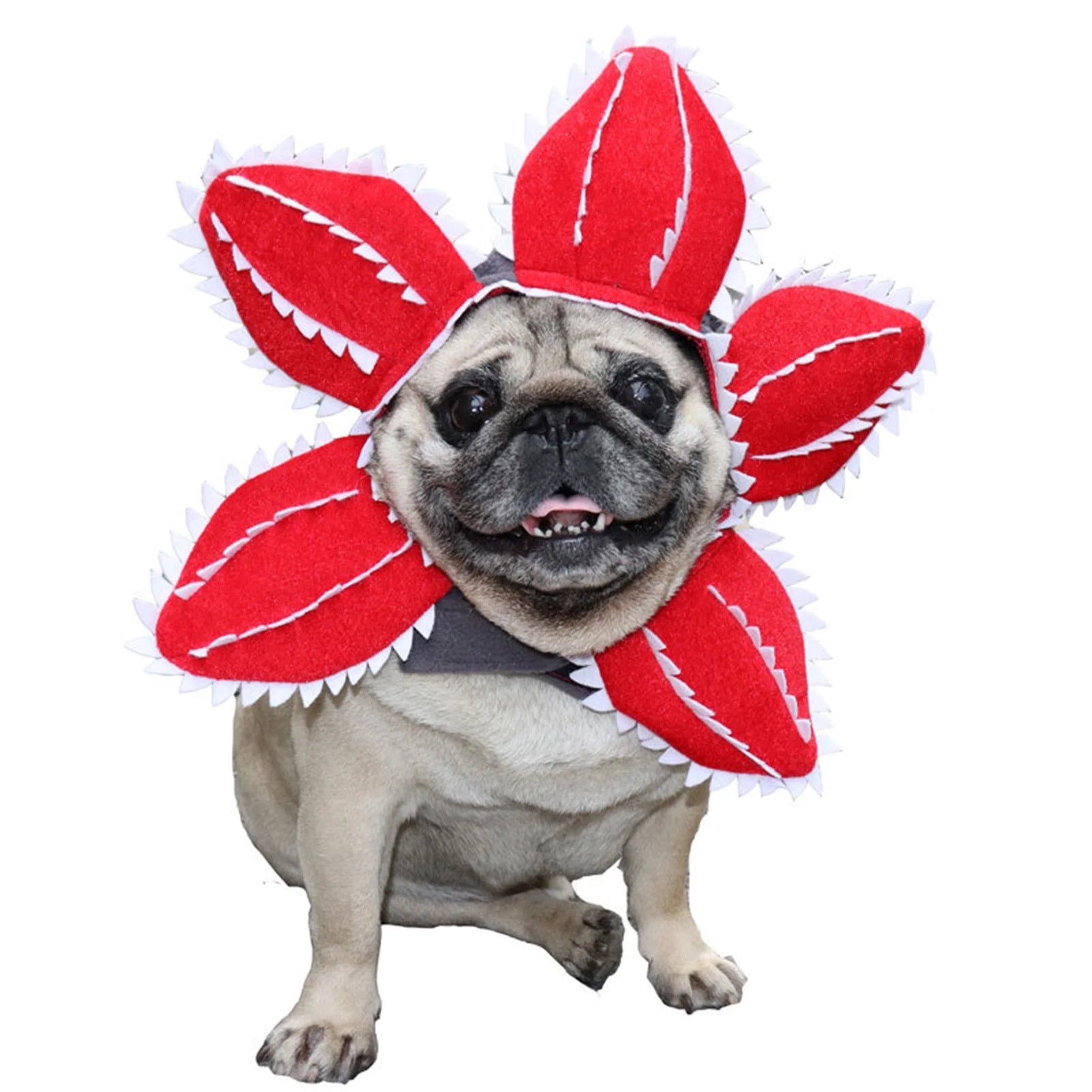 Cannibal Plant Hat – Adorable Halloween Pet Hat