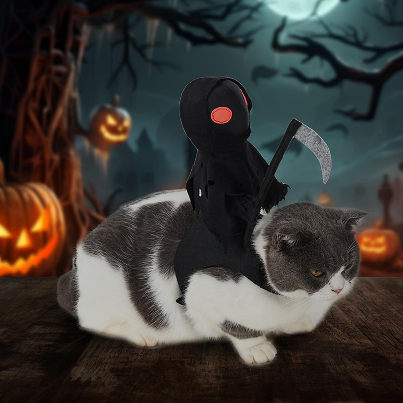 Halloween Dark Knight Outfit Dogs & Cats Ghost Costumes