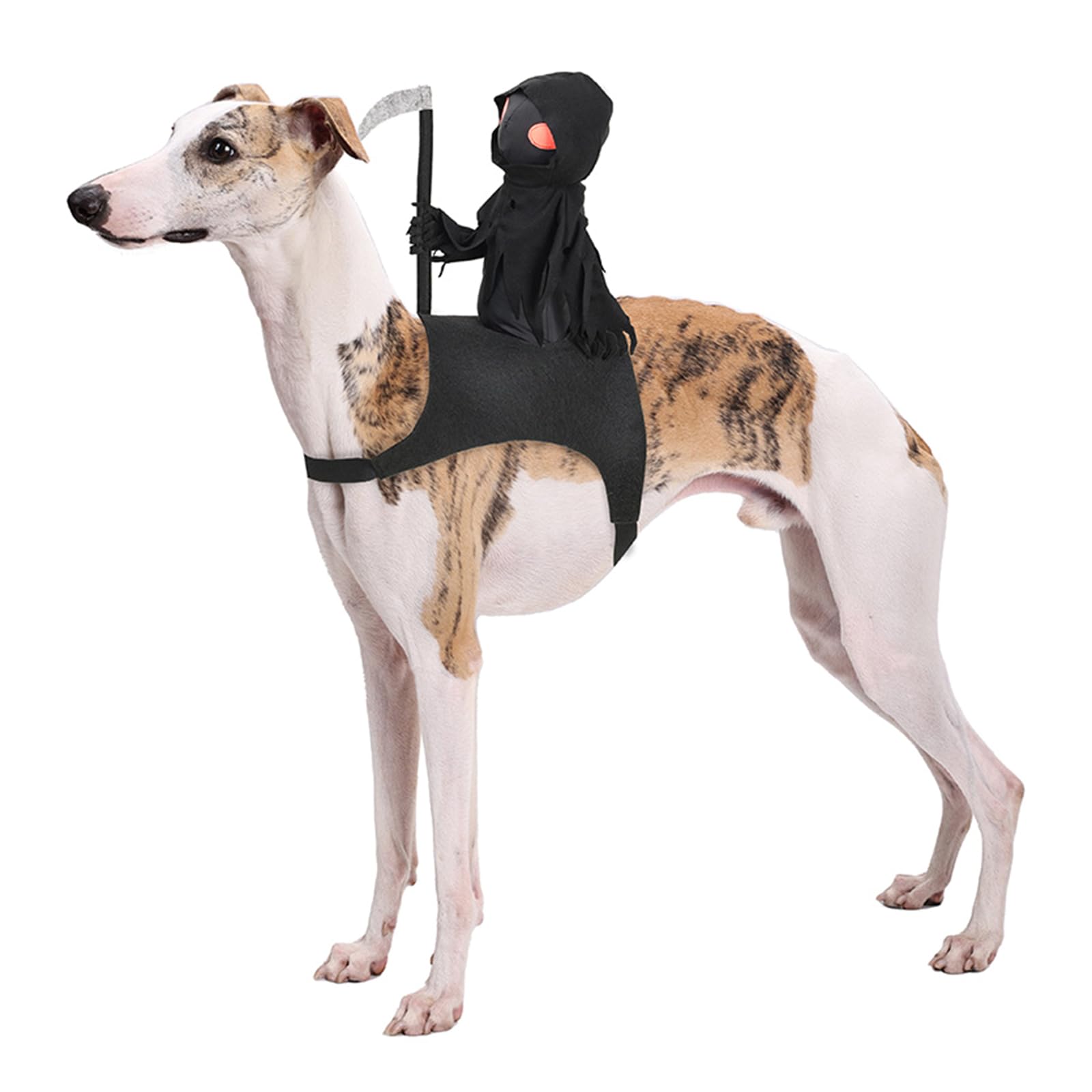 Halloween Dark Knight Outfit Dogs & Cats Ghost Costumes
