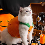 Pumpkin Costume Halloween Pet Cosplay Suits