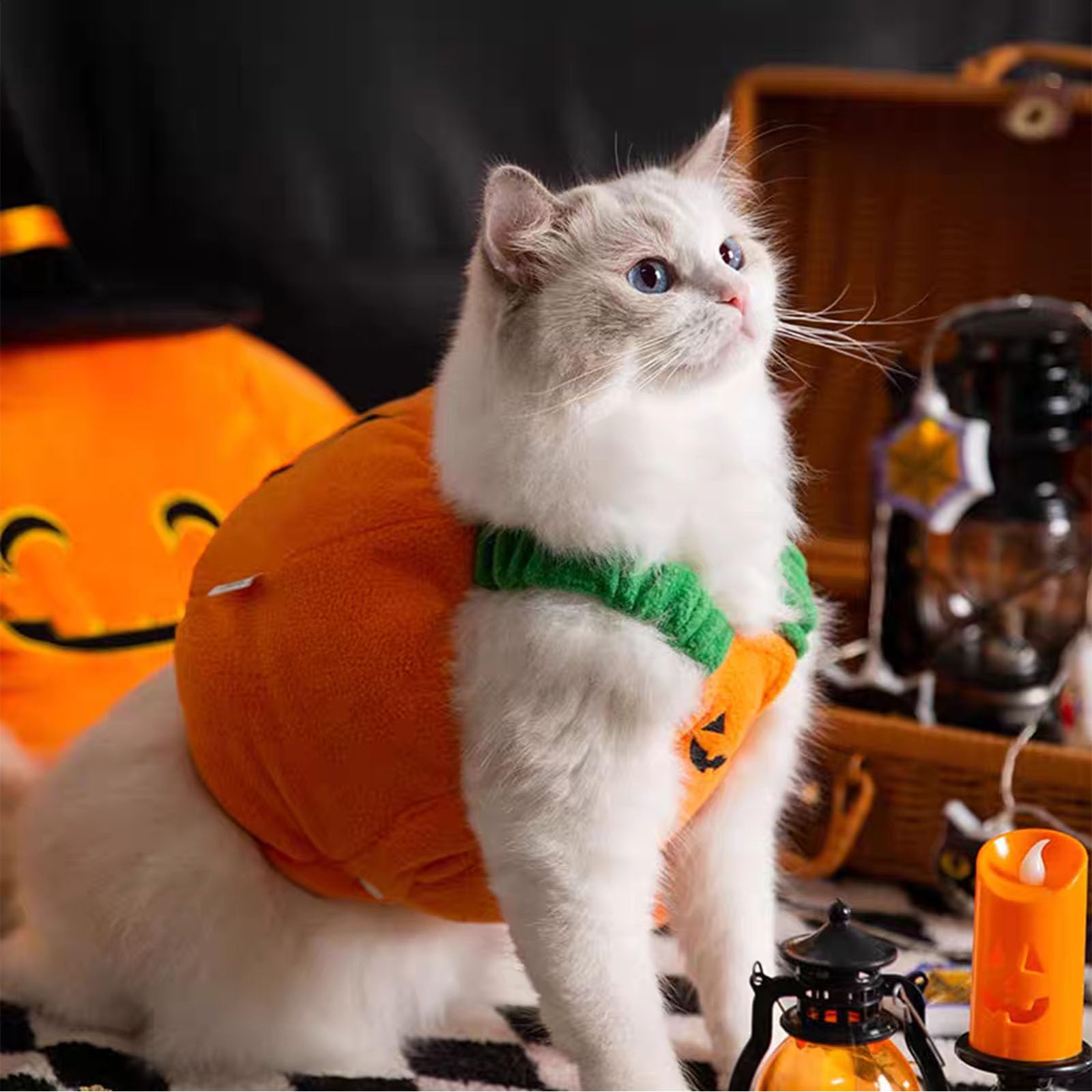 Pumpkin Costume Halloween Pet Cosplay Suits