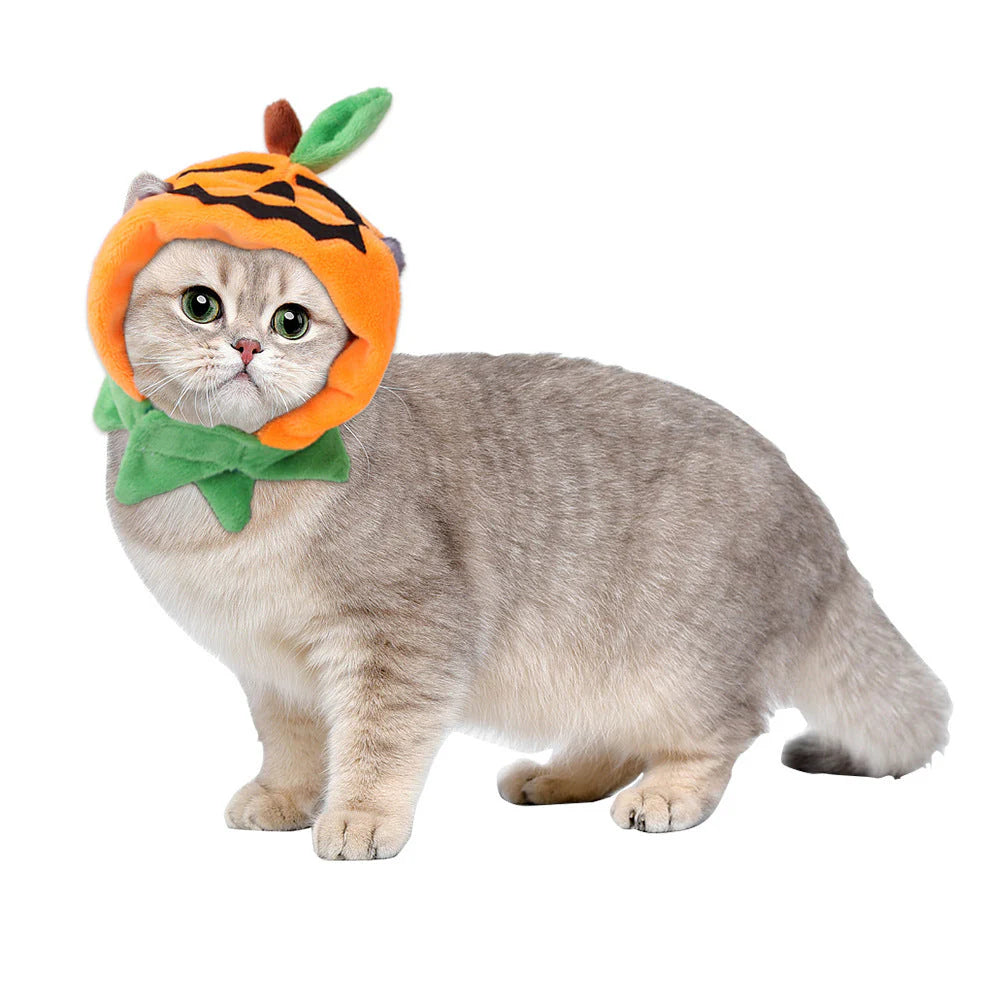 Pumpkin Double-Sided Pet Cloak