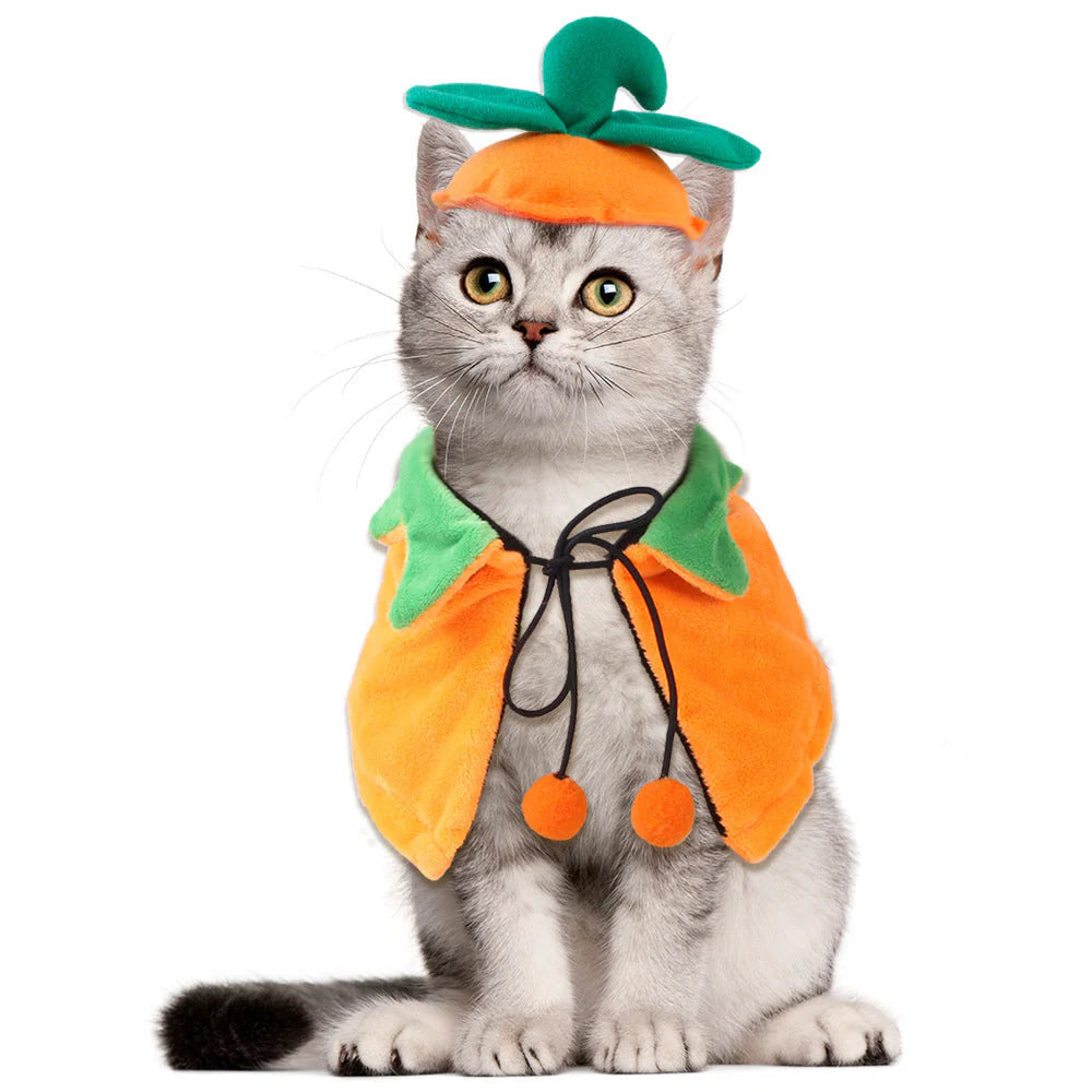Pumpkin Double-Sided Pet Cloak