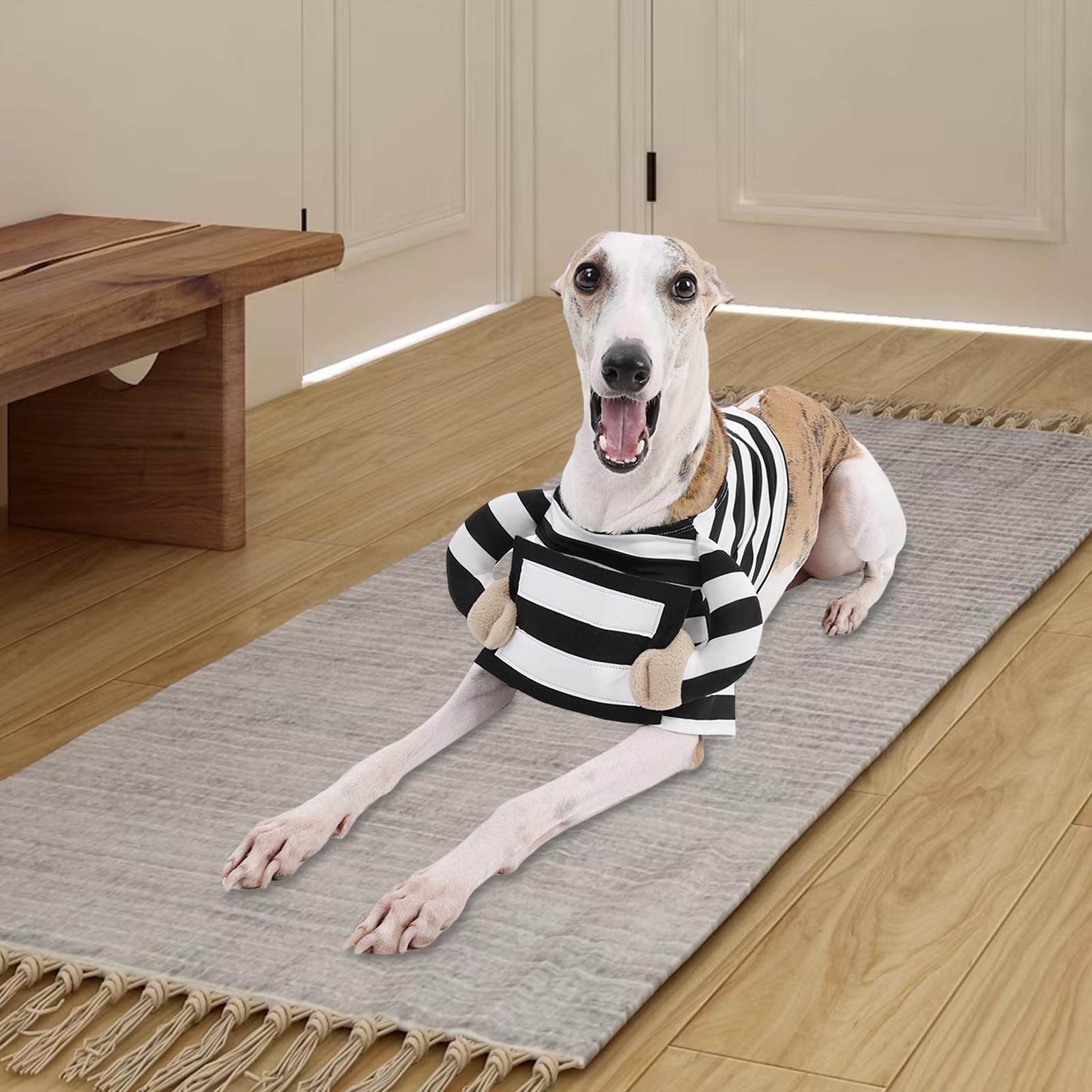 Prisoner Costume -Cute Funny Cosplay Dress