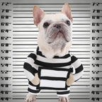 Prisoner Costume -Cute Funny Cosplay Dress