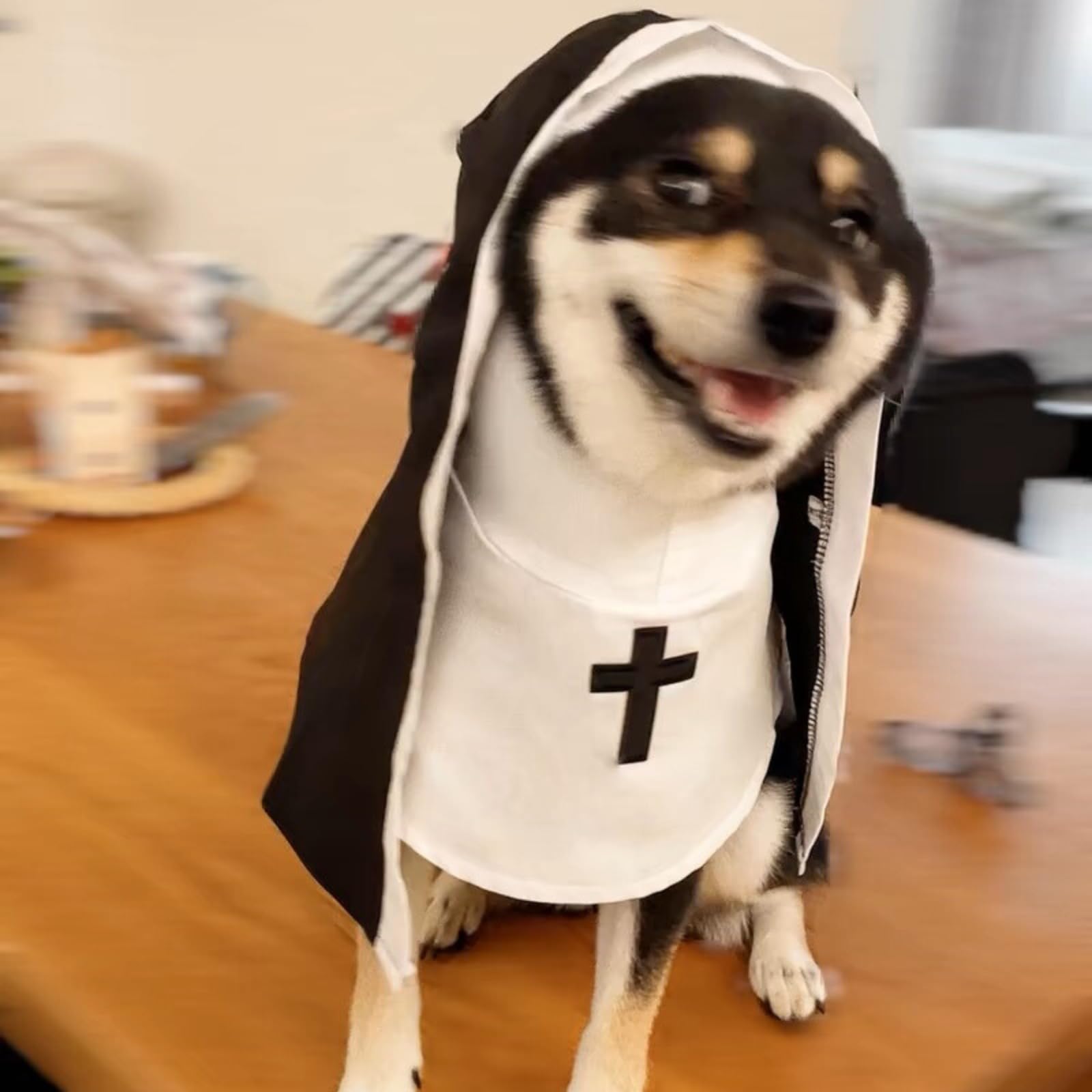 Black White Cloak Nun Costume for Halloween Pet Outfit