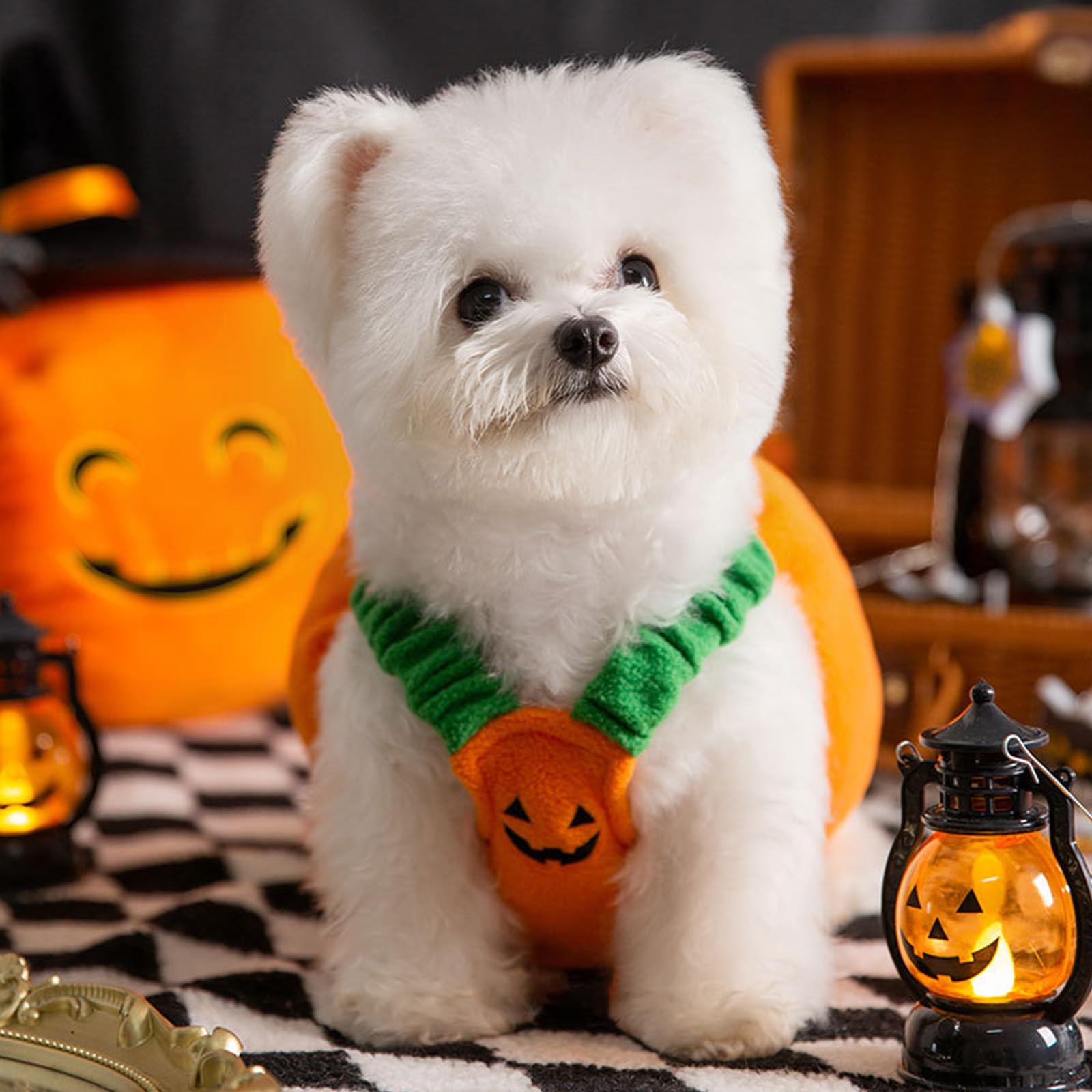 Pumpkin Costume Halloween Pet Cosplay Suits