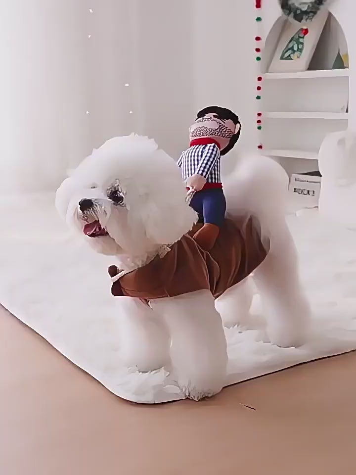 Funny Cowboy Rider Pet Costume