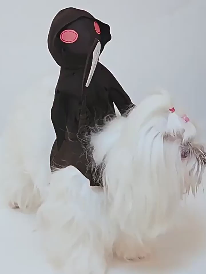 Halloween Dark Knight Outfit Dogs & Cats Ghost Costumes