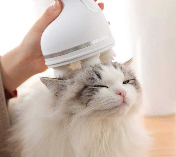 Cordless Head Massager